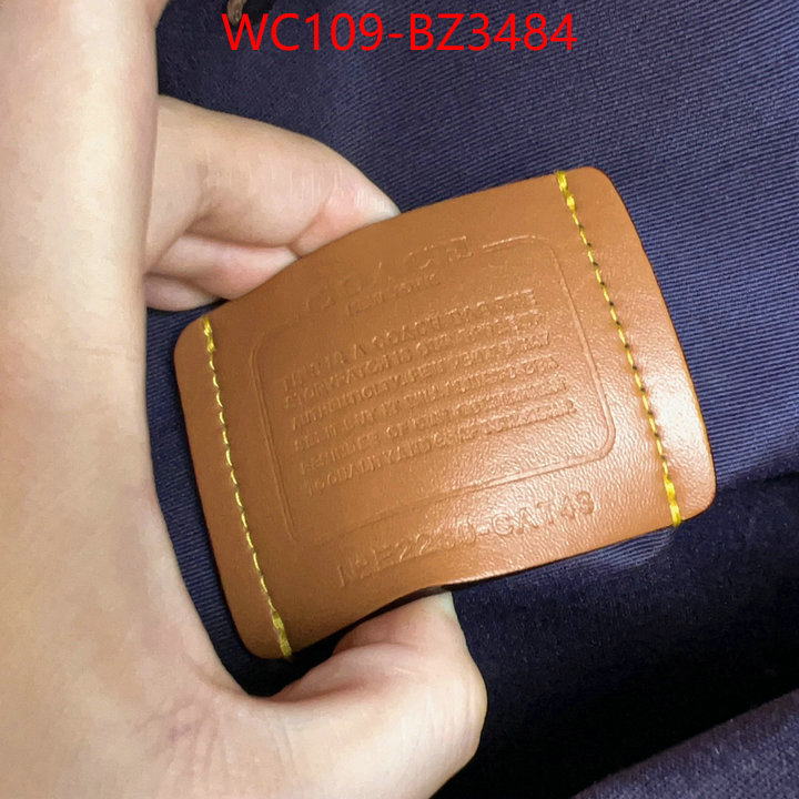 Coach Bags(4A)-Backpack- 2024 perfect replica designer ID: BZ3484 $: 109USD,