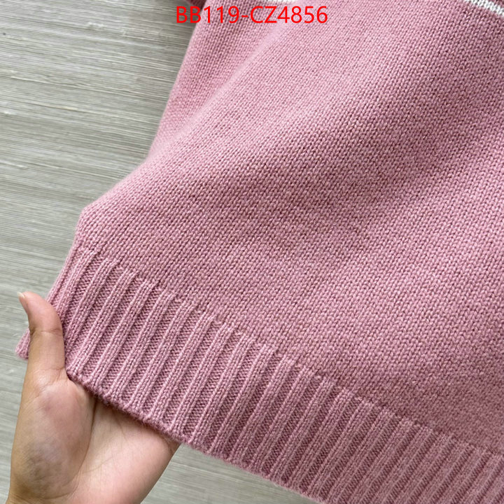 Clothing-Dior shop now ID: CZ4856 $: 119USD