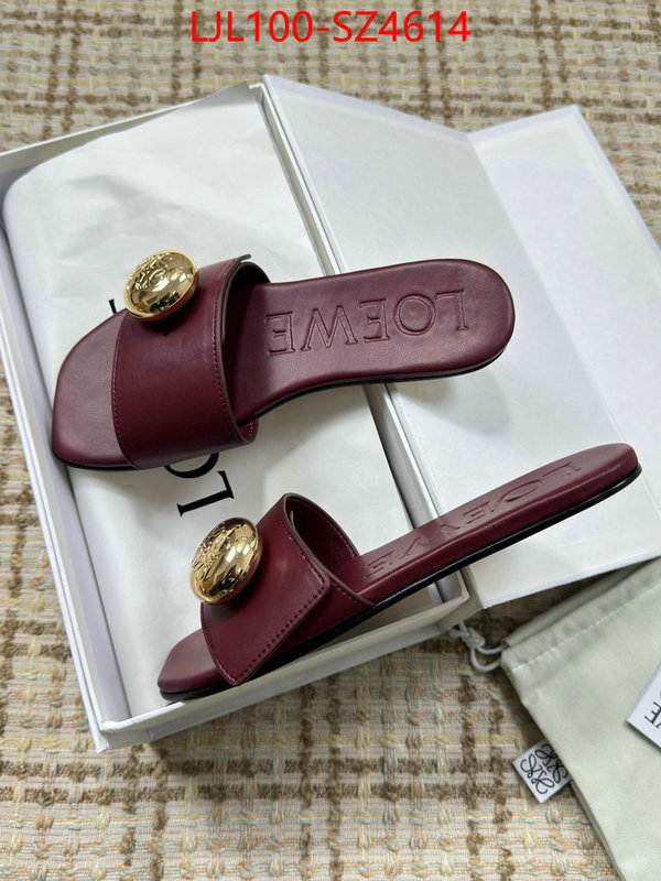 Women Shoes-Loewe first top ID: SZ4614 $: 100USD