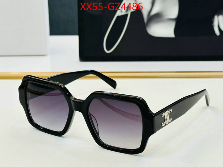 Glasses-CELINE perfect ID: GZ4486 $: 55USD