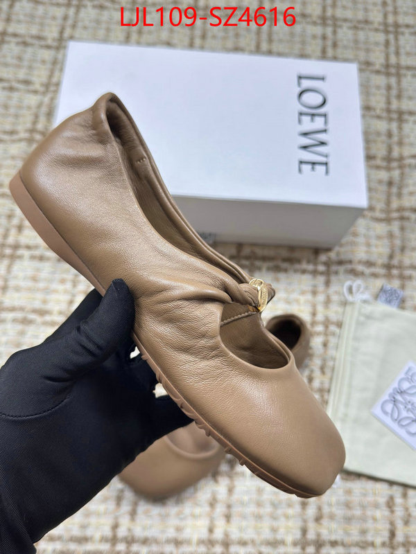 Women Shoes-Loewe best ID: SZ4616 $: 109USD