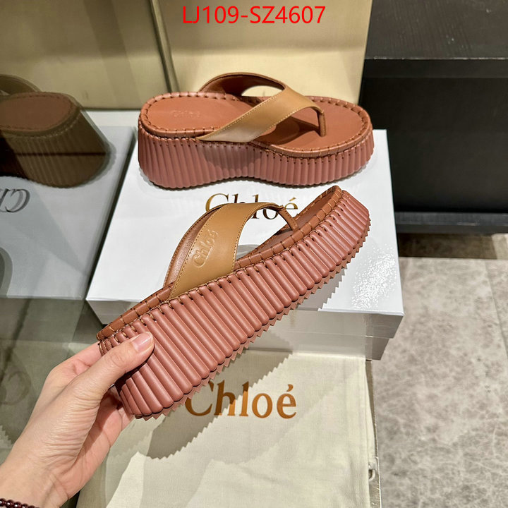 Women Shoes-Chloe the most popular ID: SZ4607 $: 109USD