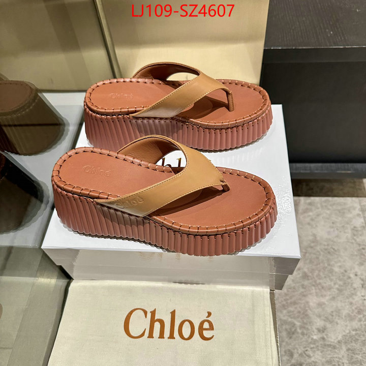 Women Shoes-Chloe the most popular ID: SZ4607 $: 109USD