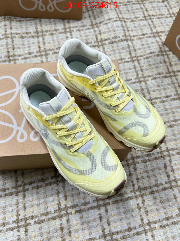 Women Shoes-Loewe what is top quality replica ID: SZ4615 $: 109USD