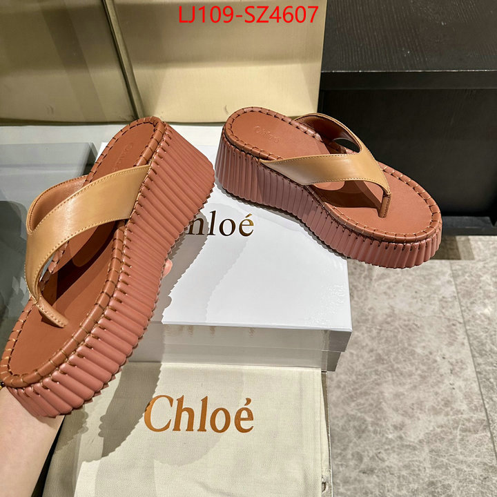 Women Shoes-Chloe the most popular ID: SZ4607 $: 109USD