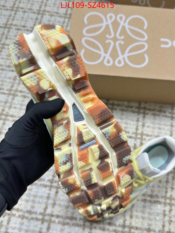 Women Shoes-Loewe what is top quality replica ID: SZ4615 $: 109USD