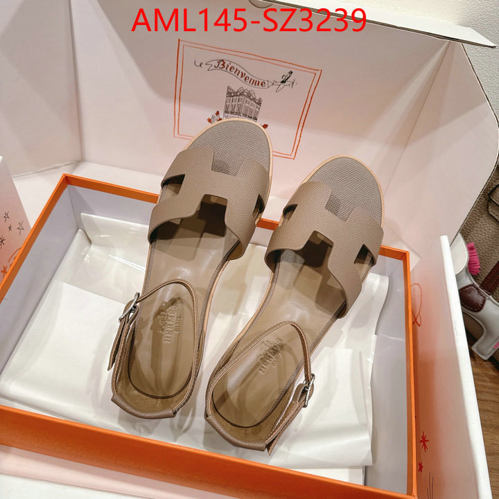 Women Shoes-Hermes what best designer replicas ID: SZ3239 $: 145USD