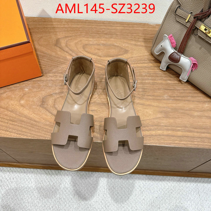 Women Shoes-Hermes what best designer replicas ID: SZ3239 $: 145USD