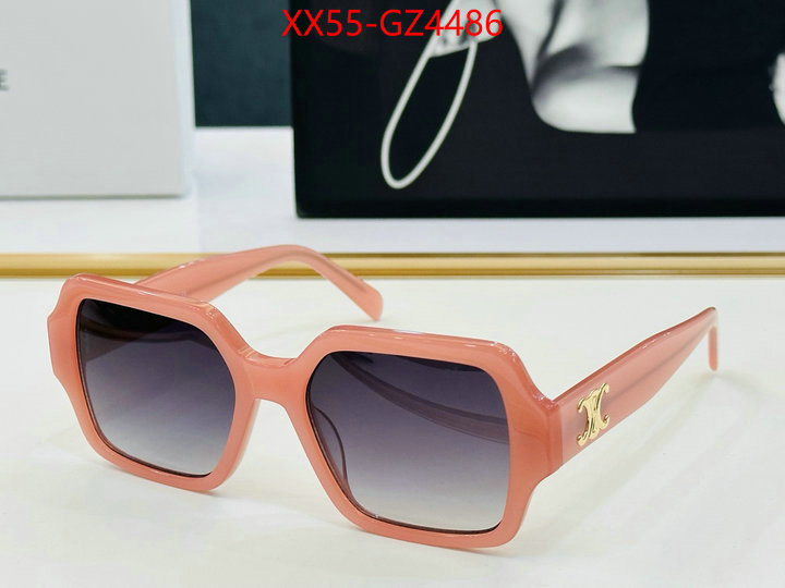 Glasses-CELINE perfect ID: GZ4486 $: 55USD