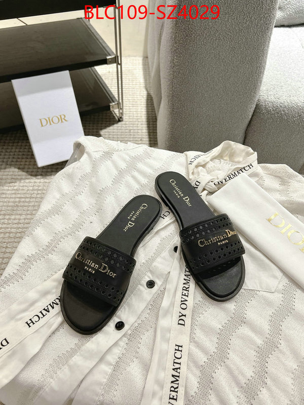 Women Shoes-Dior where can i buy the best quality ID: SZ4029 $: 109USD