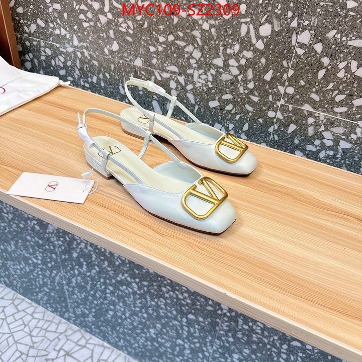 Women Shoes-Valentino the best affordable ID: SZ2309 $: 109USD