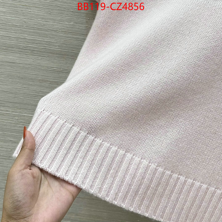 Clothing-Dior shop now ID: CZ4856 $: 119USD