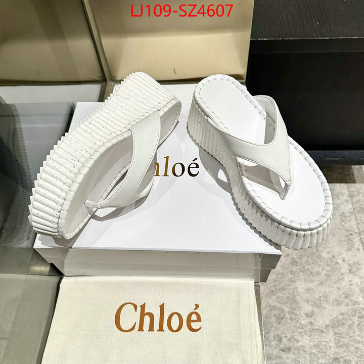 Women Shoes-Chloe the most popular ID: SZ4607 $: 109USD
