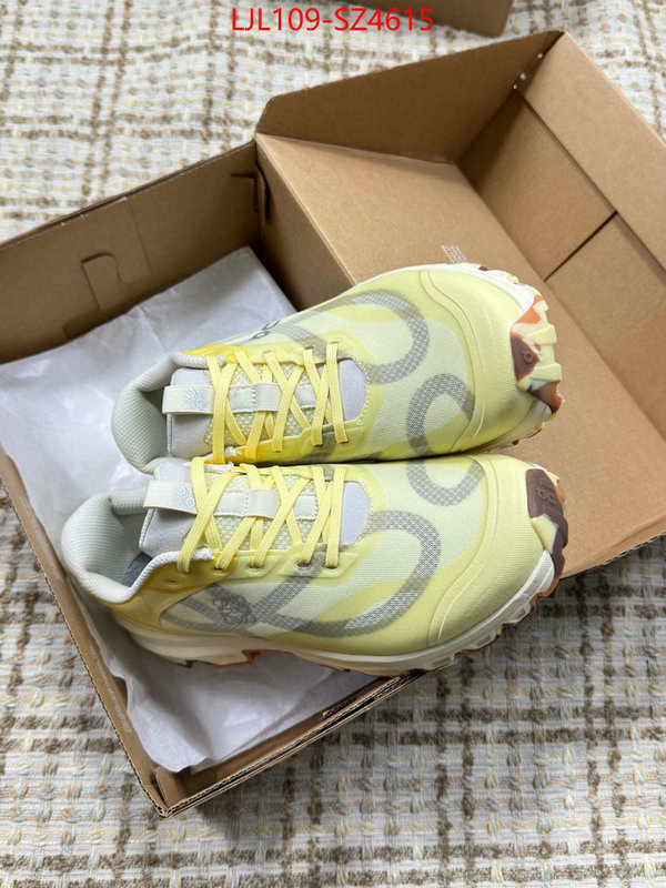 Women Shoes-Loewe what is top quality replica ID: SZ4615 $: 109USD