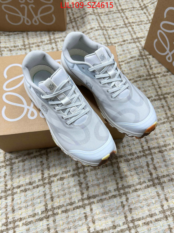 Women Shoes-Loewe what is top quality replica ID: SZ4615 $: 109USD