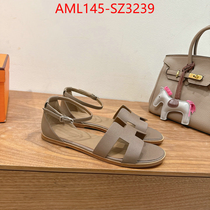 Women Shoes-Hermes what best designer replicas ID: SZ3239 $: 145USD