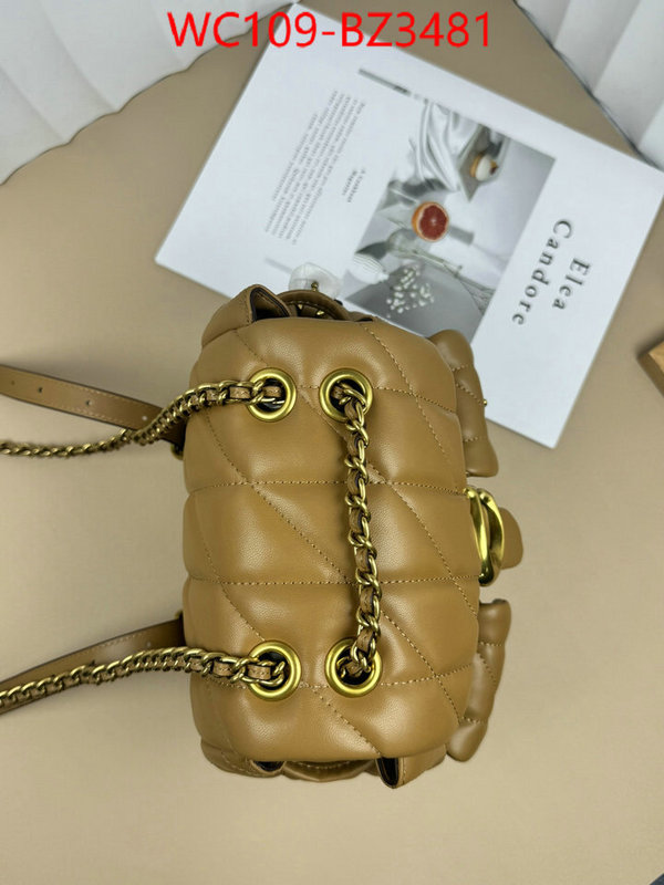 Coach Bags(4A)-Backpack- designer ID: BZ3481 $: 109USD,