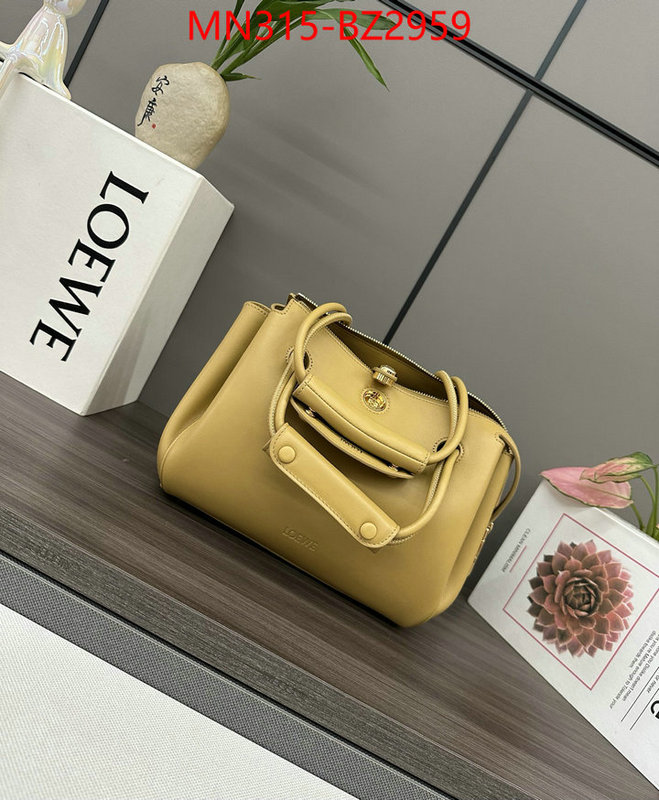 Loewe Bags(TOP)-Handbag- fashion designer ID: BZ2959 $: 315USD,
