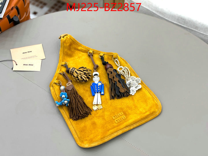 Miu Miu Bags(TOP)-Handbag- 7 star quality designer replica ID: BZ2857 $: 225USD,