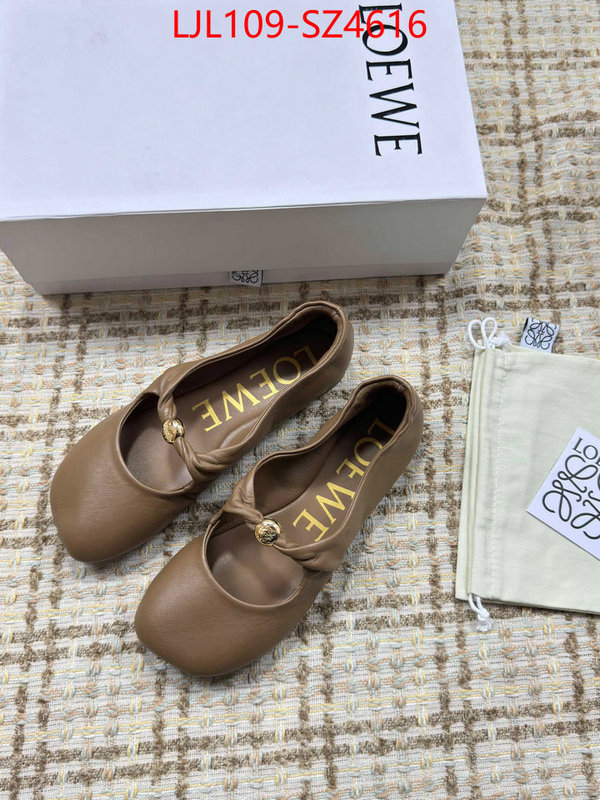 Women Shoes-Loewe best ID: SZ4616 $: 109USD
