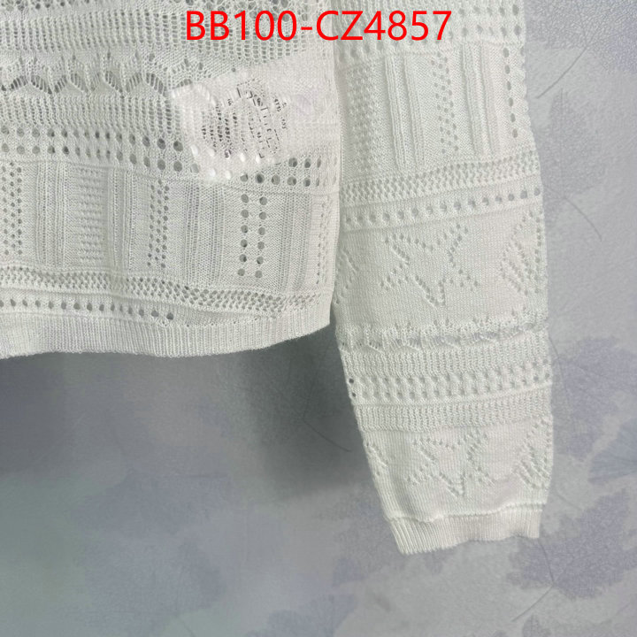 Clothing-Dior high quality online ID: CZ4857 $: 100USD