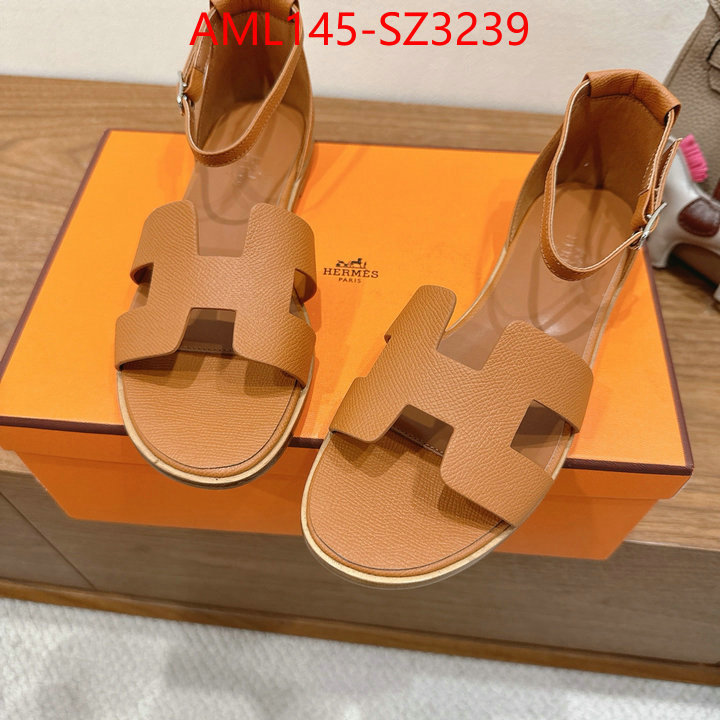Women Shoes-Hermes what best designer replicas ID: SZ3239 $: 145USD