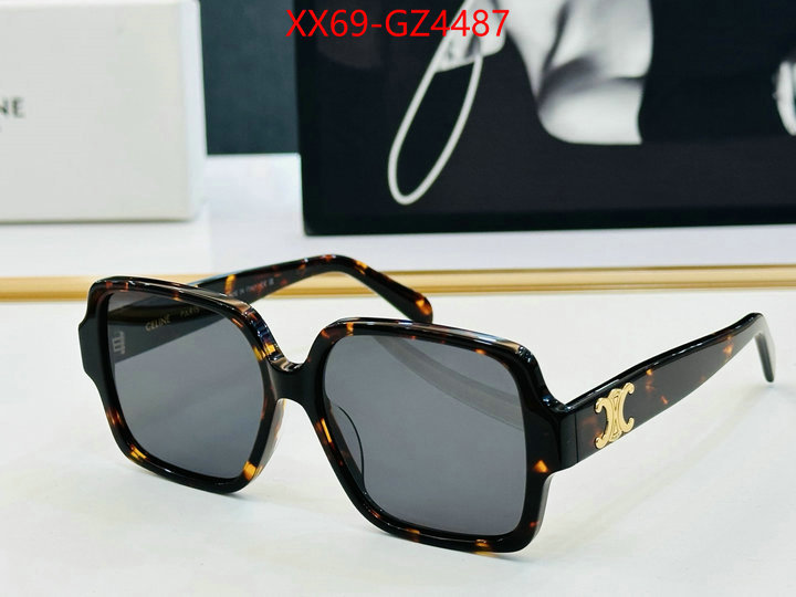 Glasses-CELINE best ID: GZ4487 $: 69USD