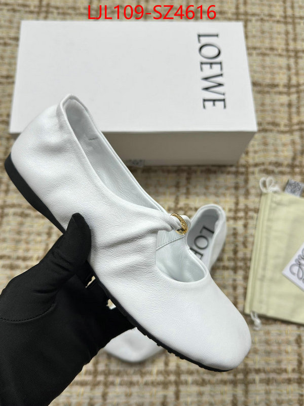 Women Shoes-Loewe best ID: SZ4616 $: 109USD