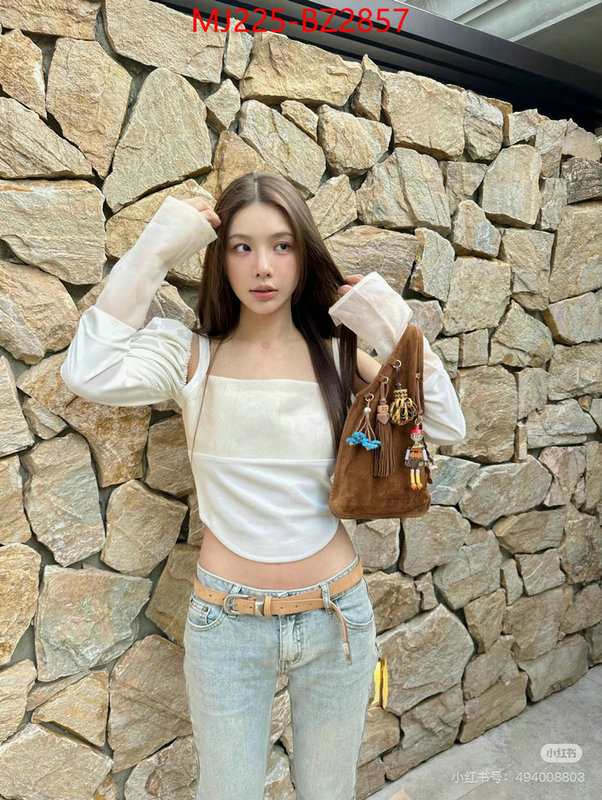 Miu Miu Bags(TOP)-Handbag- 7 star quality designer replica ID: BZ2857 $: 225USD,