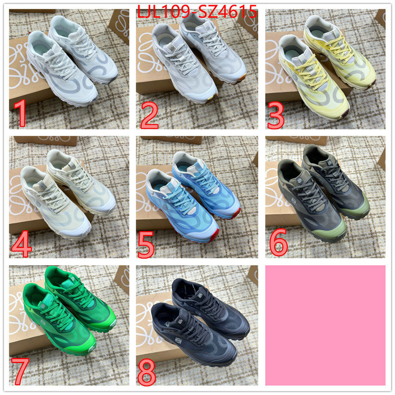 Women Shoes-Loewe what is top quality replica ID: SZ4615 $: 109USD