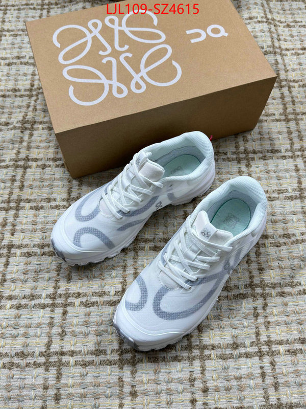 Women Shoes-Loewe what is top quality replica ID: SZ4615 $: 109USD