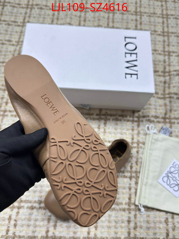 Women Shoes-Loewe best ID: SZ4616 $: 109USD