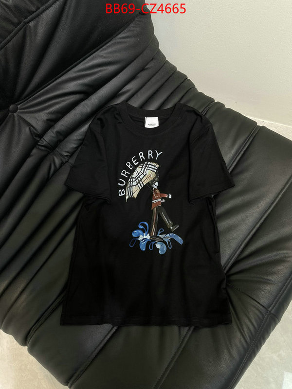 Clothing-Burberry best quality designer ID: CZ4665 $: 69USD