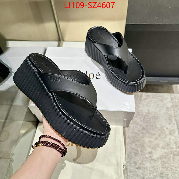 Women Shoes-Chloe the most popular ID: SZ4607 $: 109USD