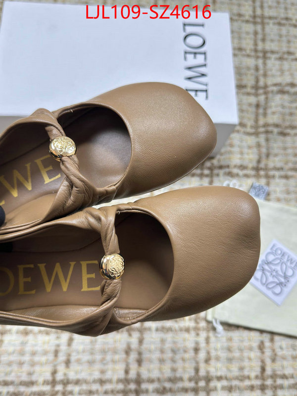 Women Shoes-Loewe best ID: SZ4616 $: 109USD