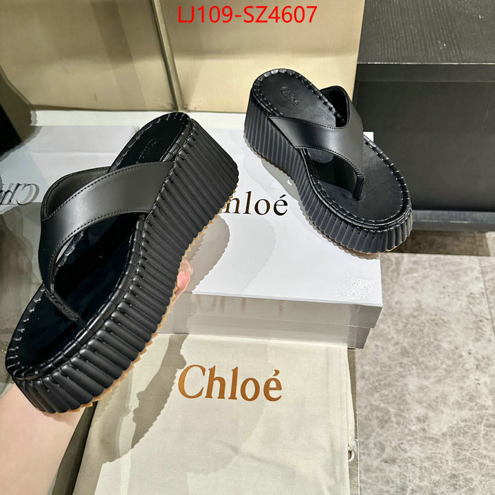 Women Shoes-Chloe the most popular ID: SZ4607 $: 109USD