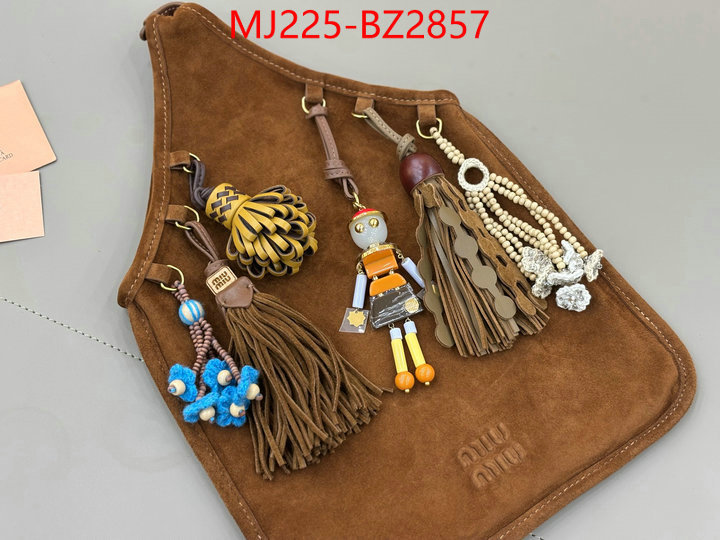 Miu Miu Bags(TOP)-Handbag- 7 star quality designer replica ID: BZ2857 $: 225USD,