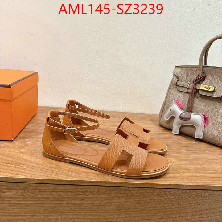 Women Shoes-Hermes what best designer replicas ID: SZ3239 $: 145USD