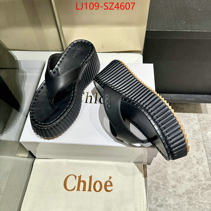 Women Shoes-Chloe the most popular ID: SZ4607 $: 109USD
