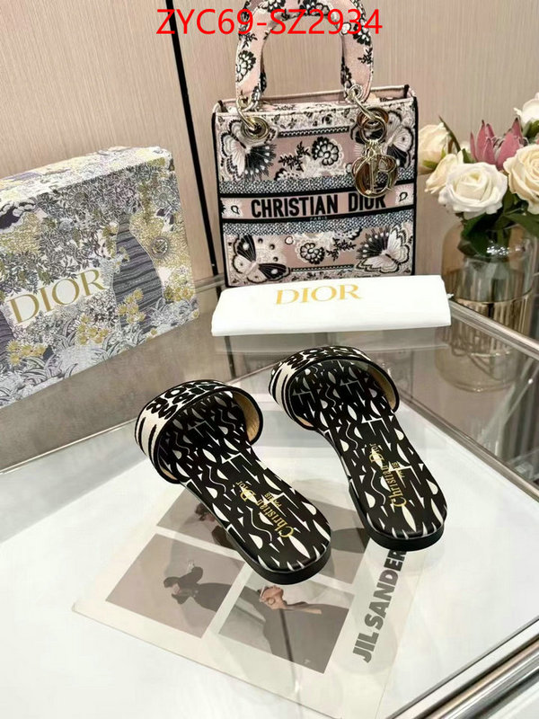 Women Shoes-Dior wholesale imitation designer replicas ID: SZ2934 $: 69USD