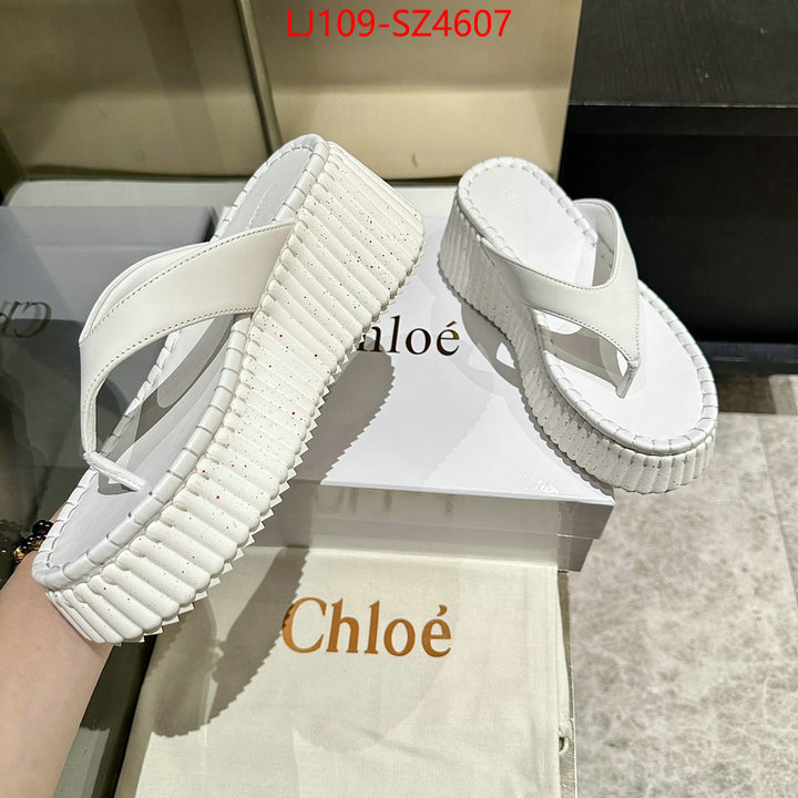 Women Shoes-Chloe the most popular ID: SZ4607 $: 109USD