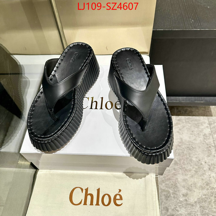 Women Shoes-Chloe the most popular ID: SZ4607 $: 109USD