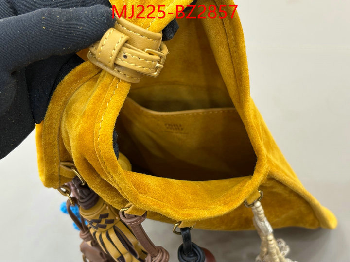 Miu Miu Bags(TOP)-Handbag- 7 star quality designer replica ID: BZ2857 $: 225USD,