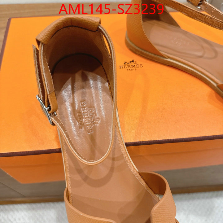 Women Shoes-Hermes what best designer replicas ID: SZ3239 $: 145USD