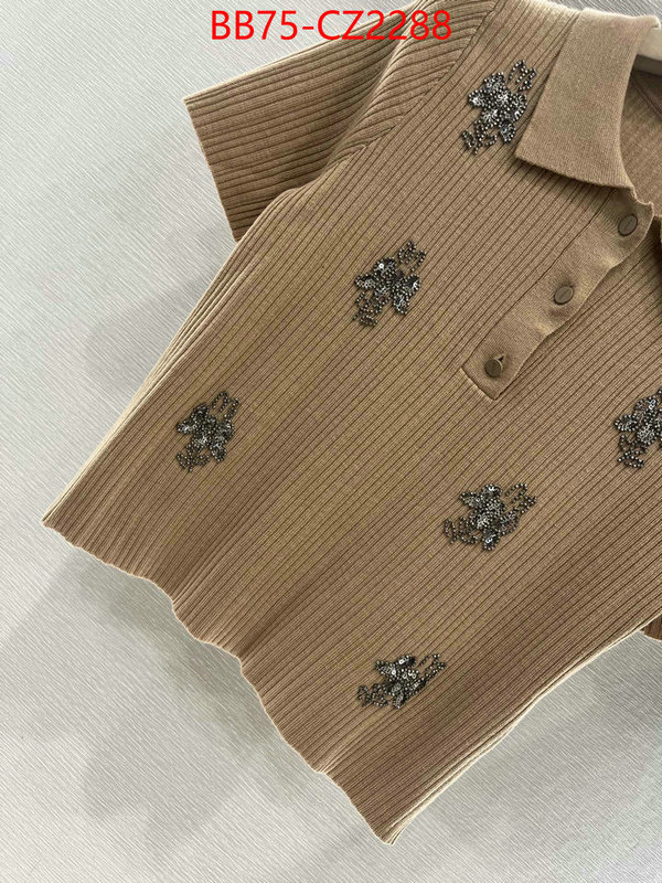 Clothing-Fendi replcia cheap from china ID: CZ2288 $: 75USD