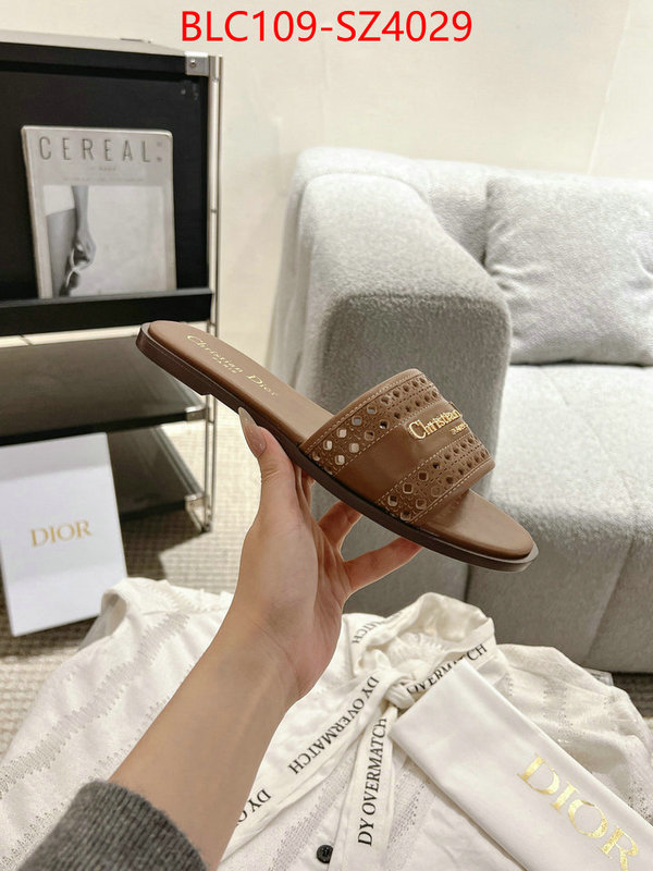 Women Shoes-Dior where can i buy the best quality ID: SZ4029 $: 109USD