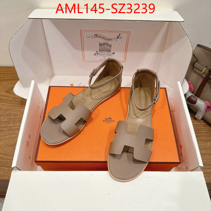 Women Shoes-Hermes what best designer replicas ID: SZ3239 $: 145USD