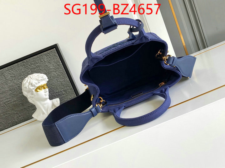 Prada Bags(TOP)-Handbag- perfect ID: BZ4657 $: 199USD,