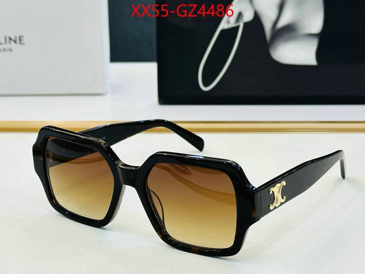 Glasses-CELINE perfect ID: GZ4486 $: 55USD