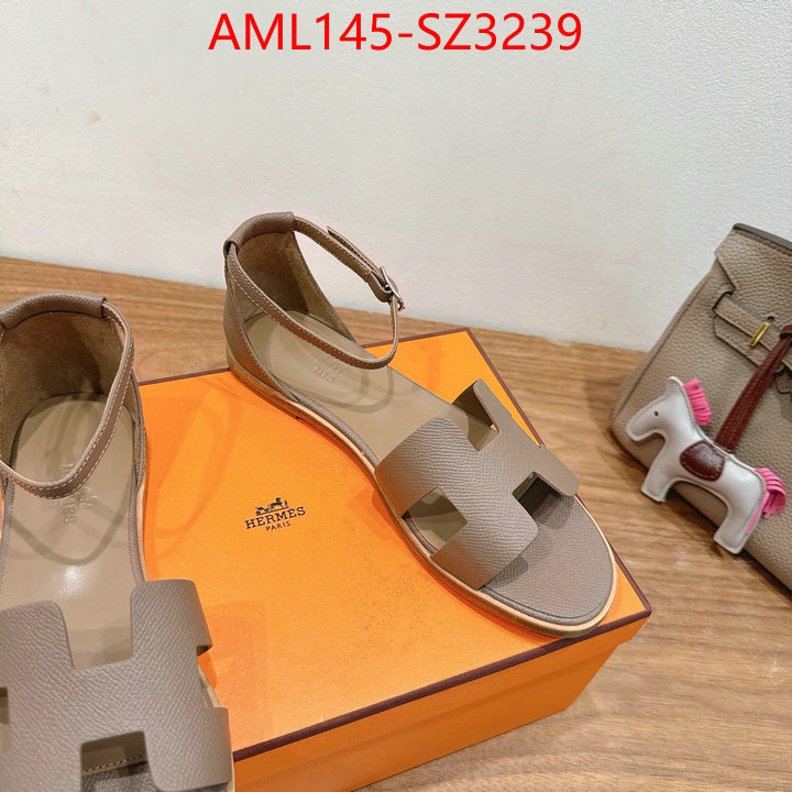 Women Shoes-Hermes what best designer replicas ID: SZ3239 $: 145USD